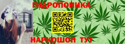 крисы Коммунар
