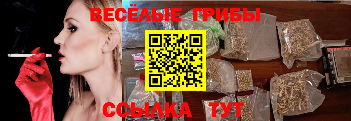 наркота  Псилоцибиновые грибы GOLDEN TEACHER  Вход с VPN  Когалым 